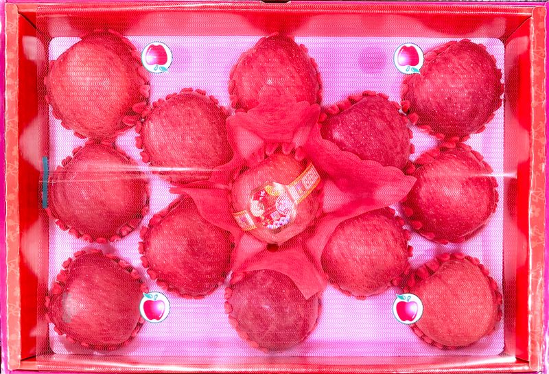 농부손녀님의 장터 판매 상품 [[프리미엄] 2025 꿀사과 선물세트 5kg ] 첨부 사진