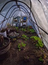 팜모닝 두뇌 활력 충전소! 깜짝 초성 퀴즈·참여글 게시글 이미지