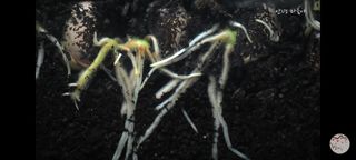 이덕훈(바쁜사람)님의 두뇌 활력 충전소! 깜짝 초성 퀴즈 · 참여글 작성글 사진