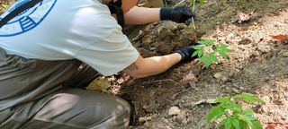 진상빈님의 작성글 사진