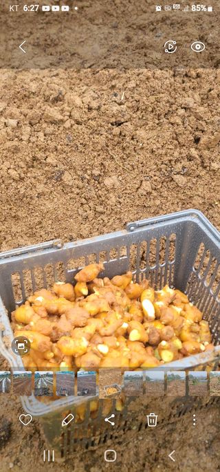 황금알대박농원!님의 두뇌 활력 충전소! 깜짝 초성 퀴즈 · 참여글 작성글 사진