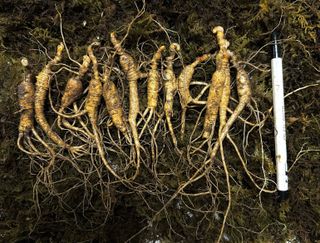 진상빈님의 작성글 사진