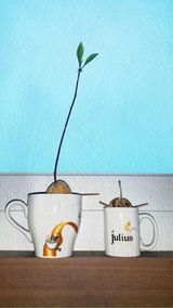 팜모닝 두뇌 활력 충전소! 깜짝 초성 퀴즈·참여글 게시글 이미지