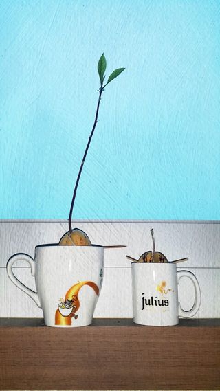 우창구님의 두뇌 활력 충전소! 깜짝 초성 퀴즈 · 참여글 작성글 사진