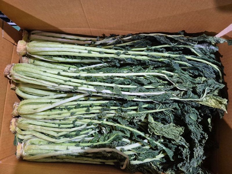 장터 상품 [약간 덜 마른 시래기 2kg] 썸네일