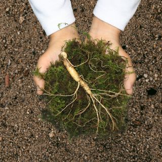 진상빈님의 작성글 사진