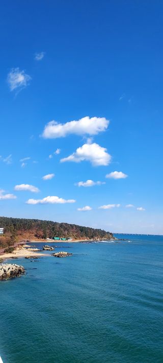 안재성님의 자유주제 · 사진전 작성글 사진