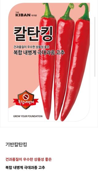 대산농사대장님의 고추 · 품종•종자 작성글 사진