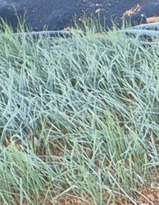 이용우님의 두뇌 활력 충전소! 깜짝 초성 퀴즈 · 참여글 작성글 사진