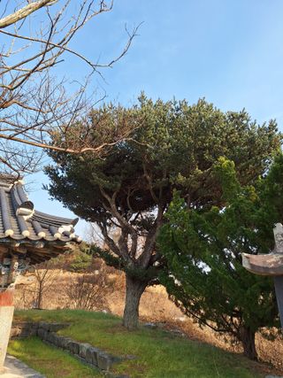 길가다우연히님의 자유주제 · 자유게시판 작성글 사진