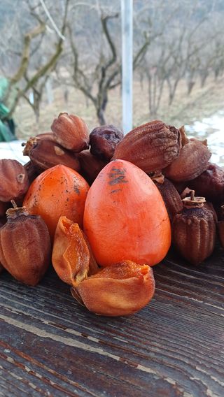 산골촌부님의 작성글 사진