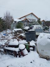 팜모닝 자유주제·자유게시판 게시글 이미지