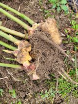 팜모닝 농업재해보험 품목 확대, 찬성 vs 반대·참여글 게시글 이미지