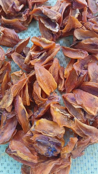 산골촌부님의 작성글 사진