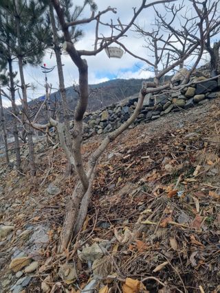 김용대님의 자유주제 · 자유게시판 작성글 사진