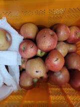 팜모닝 · 게시글 이미지