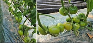 알 수 없음님의 작성글 사진