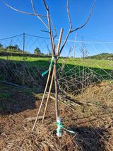 팜모닝 다가오는 대한, 농가의 혹한 대비 어떻게 하고 계신가요?·참여글 게시글 이미지