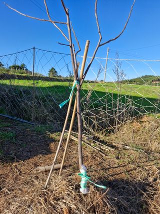 김 농부님의 다가오는 대한, 농가의 혹한 대비 어떻게 하고 계신가요? · 참여글 작성글 사진