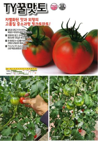 알 수 없음님의 작성글 사진