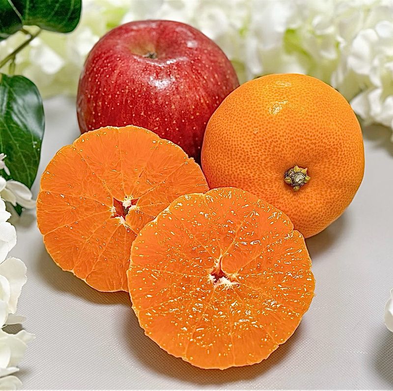 농부손녀님의 장터 판매 상품 [[가격인하] 귤폭탄 과즙 발랄한 한라봉] 첨부 사진