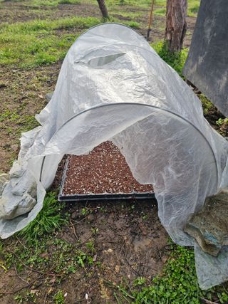 배성은365님의 두뇌 활력 충전소! 깜짝 초성 퀴즈 · 참여글 작성글 사진