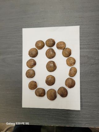 정찬영님의 자유주제 · 자유게시판 작성글 사진