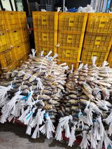 팜모닝 자유주제·자유게시판 게시글 이미지