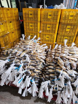 임성환님의 자유주제 · 자유게시판 작성글 사진