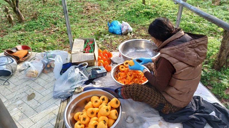 산골촌부님의 장터 판매 상품 [천운산골 자연건조 대봉곶감 8개] 첨부 사진