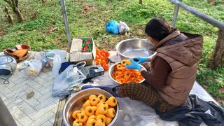 산골촌부님의 작성글 사진