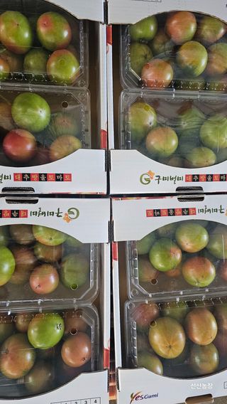 알 수 없음님의 작성글 사진