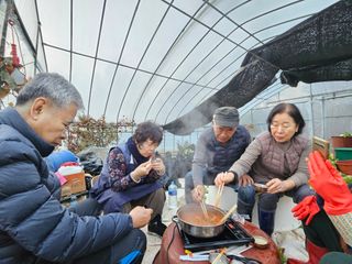 강화 산.해.감국님의 작성글 사진