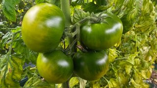 알 수 없음님의 작성글 사진