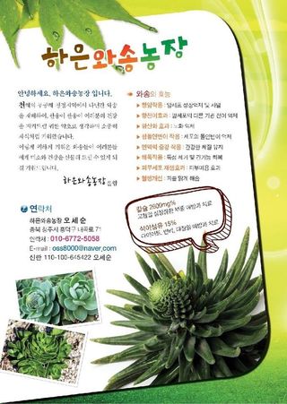 하은와송~♡♡♡~님의 자유주제 · 자유게시판 작성글 사진