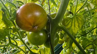 알 수 없음님의 작성글 사진