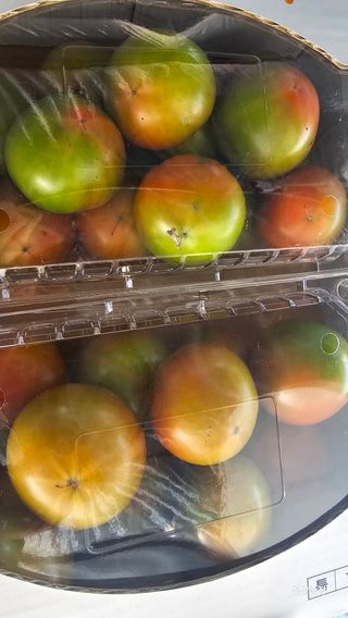 알 수 없음님의 작성글 사진