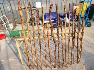 백호순(후추)님의 자유주제 · 자유게시판 작성글 사진