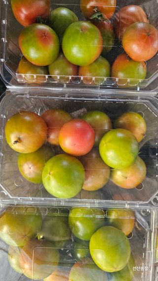 알 수 없음님의 작성글 사진