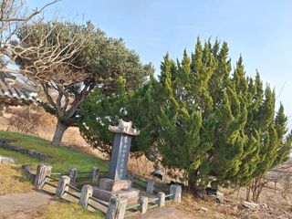 길가다우연히님의 자유주제 · 자유게시판 작성글 사진