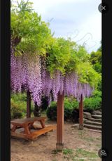 팜모닝 자유주제·자유게시판 게시글 이미지