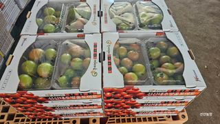 알 수 없음님의 작성글 사진