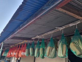 동글이선님의 작성글 사진