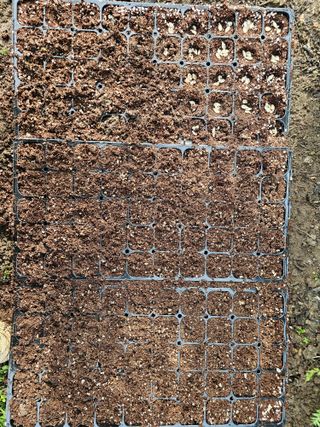 배성은365님의 두뇌 활력 충전소! 깜짝 초성 퀴즈 · 참여글 작성글 사진