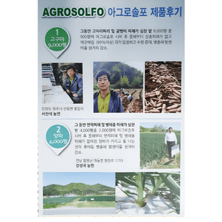 대산농사대장님의 고추 · 비료•농약 작성글 사진