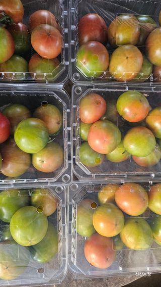 알 수 없음님의 작성글 사진