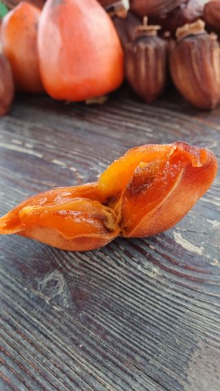 산골촌부님의 작성글 사진