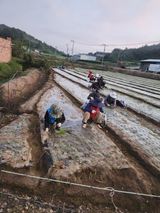 팜모닝 농업재해보험 품목 확대, 찬성 vs 반대·참여글 게시글 이미지