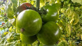 알 수 없음님의 작성글 사진