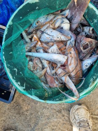 차재경님의 자유주제 · 자유게시판 작성글 사진